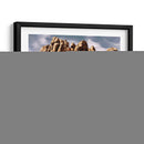 Olchcroppings Vii - Rachel Perry | Cuadro decorativo de Canvas Lab