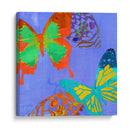 Mariposas Saturadas Iv - Sisa Jasper | Cuadro decorativo de Canvas Lab
