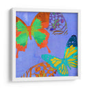 Mariposas Saturadas Iv - Sisa Jasper | Cuadro decorativo de Canvas Lab