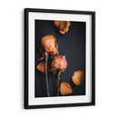 Sueños Wilted I - Sonja Quintero | Cuadro decorativo de Canvas Lab