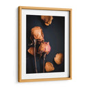 Sueños Wilted I - Sonja Quintero | Cuadro decorativo de Canvas Lab