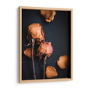 Sueños Wilted I - Sonja Quintero | Cuadro decorativo de Canvas Lab