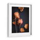 Sueños Wilted I - Sonja Quintero | Cuadro decorativo de Canvas Lab