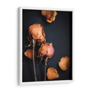 Sueños Wilted I - Sonja Quintero | Cuadro decorativo de Canvas Lab