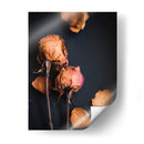 Sueños Wilted I - Sonja Quintero | Cuadro decorativo de Canvas Lab