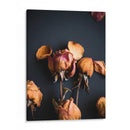 Sueños Wilted Ii - Sonja Quintero | Cuadro decorativo de Canvas Lab