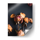 Sueños Wilted Ii - Sonja Quintero | Cuadro decorativo de Canvas Lab