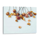 Pétalos De Oro I - Sonja Quintero | Cuadro decorativo de Canvas Lab