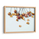 Pétalos De Oro I - Sonja Quintero | Cuadro decorativo de Canvas Lab