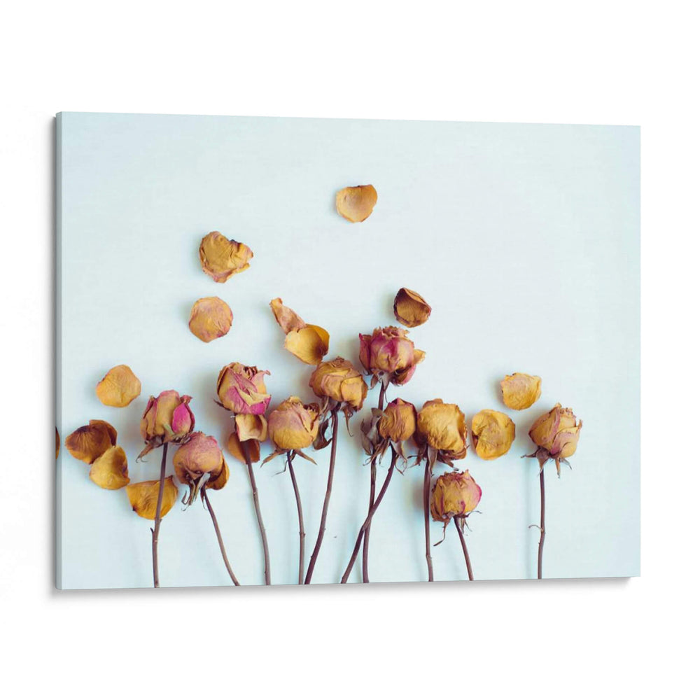 Pétalos De Oro Ii - Sonja Quintero | Cuadro decorativo de Canvas Lab