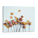 Pétalos De Oro Ii - Sonja Quintero | Cuadro decorativo de Canvas Lab