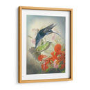 Ciclo De Colibrí Ii - Sonja Quintero | Cuadro decorativo de Canvas Lab