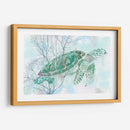 Acuarela Tortuga Mari I - Studio W | Cuadro decorativo de Canvas Lab