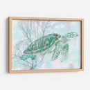 Acuarela Tortuga Mari I - Studio W | Cuadro decorativo de Canvas Lab
