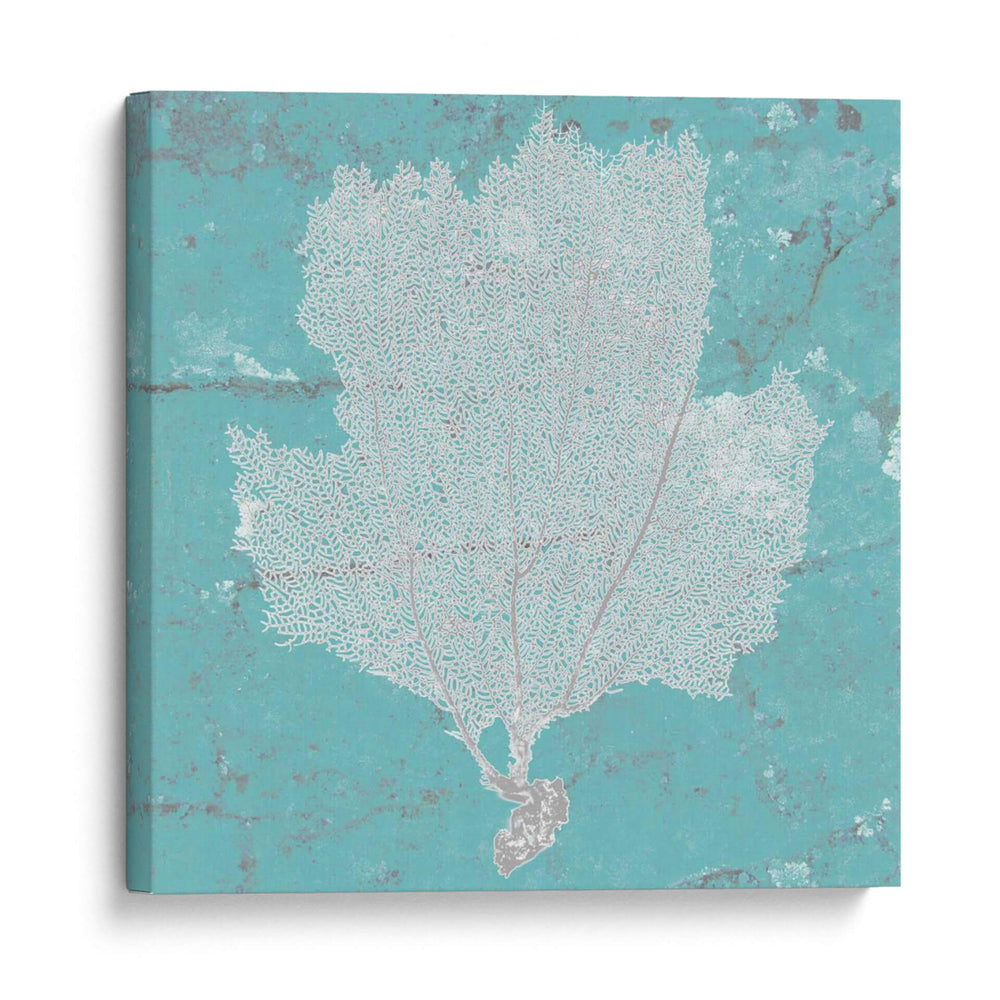 Fan De Mar Gráfico Iii - Studio W | Cuadro decorativo de Canvas Lab