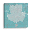Fan De Mar Gráfico Iii - Studio W | Cuadro decorativo de Canvas Lab