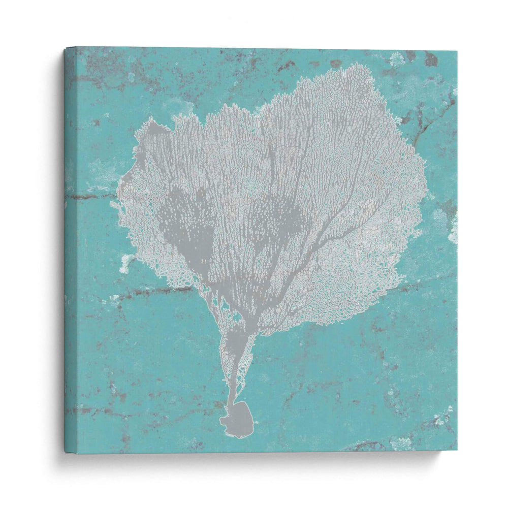 Fan De Mar Gráfico Viii - Studio W | Cuadro decorativo de Canvas Lab