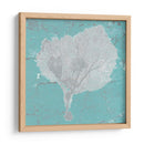 Fan De Mar Gráfico Viii - Studio W | Cuadro decorativo de Canvas Lab