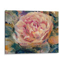 Floral En Bloom Iv - Tim OToole | Cuadro decorativo de Canvas Lab