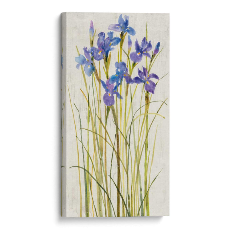 Iris Parche I - Tim OToole | Cuadro decorativo de Canvas Lab