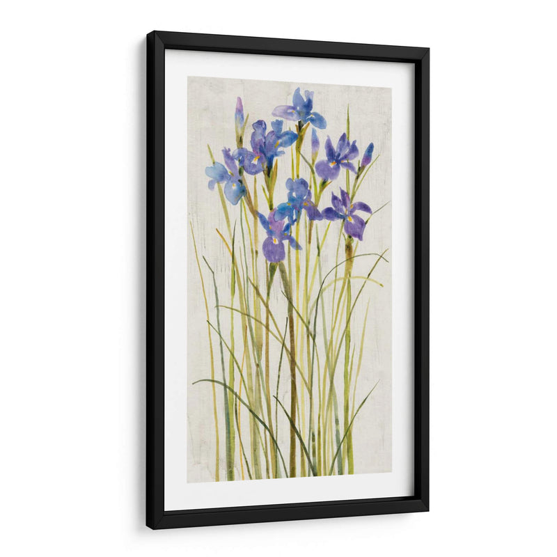 Iris Parche I - Tim OToole | Cuadro decorativo de Canvas Lab