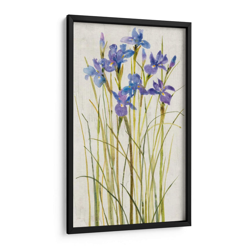 Iris Parche I - Tim OToole | Cuadro decorativo de Canvas Lab