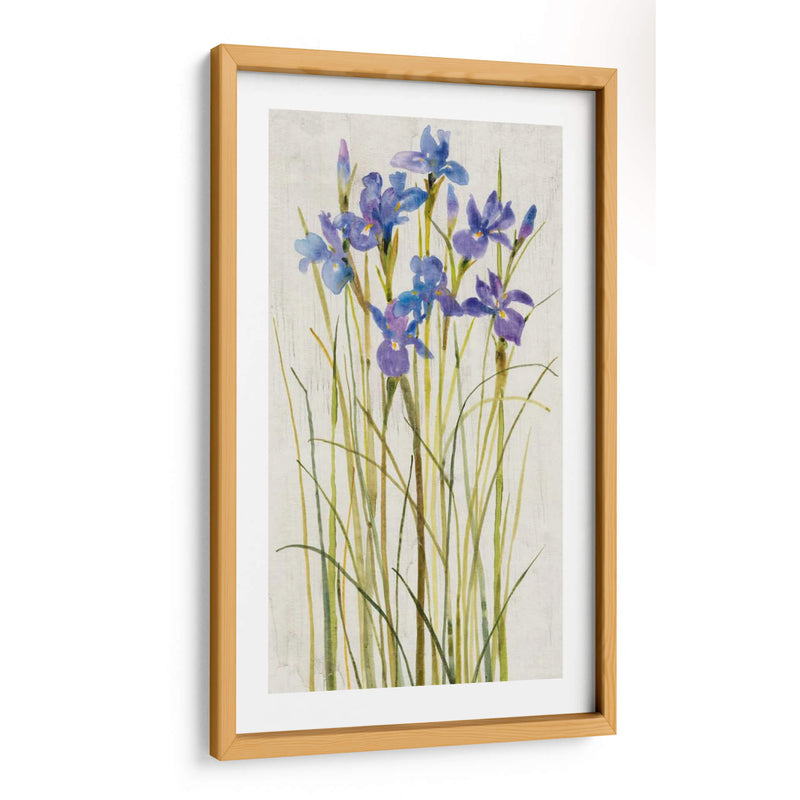 Iris Parche I - Tim OToole | Cuadro decorativo de Canvas Lab