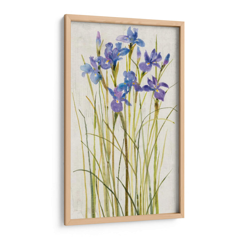 Iris Parche I - Tim OToole | Cuadro decorativo de Canvas Lab