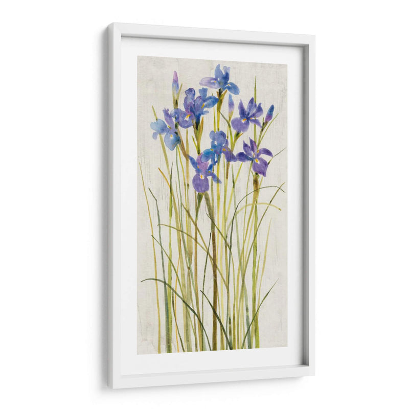 Iris Parche I - Tim OToole | Cuadro decorativo de Canvas Lab