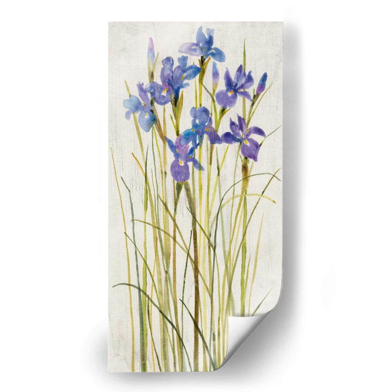 Iris Parche I - Tim OToole | Cuadro decorativo de Canvas Lab