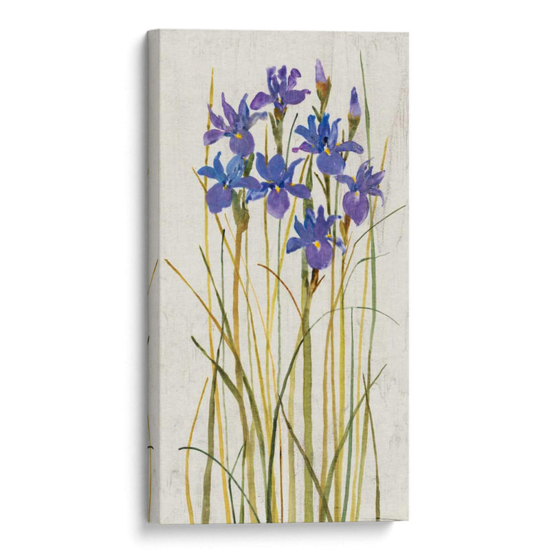 Iris Patch Ii - Tim OToole | Cuadro decorativo de Canvas Lab