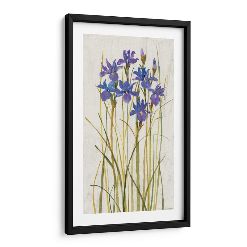 Iris Patch Ii - Tim OToole | Cuadro decorativo de Canvas Lab