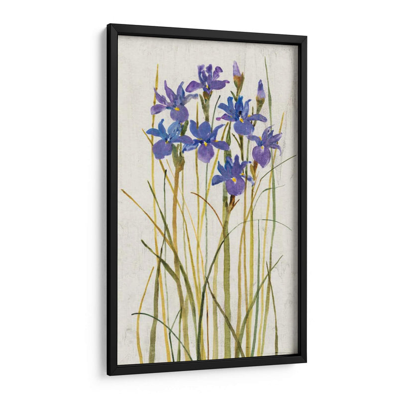 Iris Patch Ii - Tim OToole | Cuadro decorativo de Canvas Lab