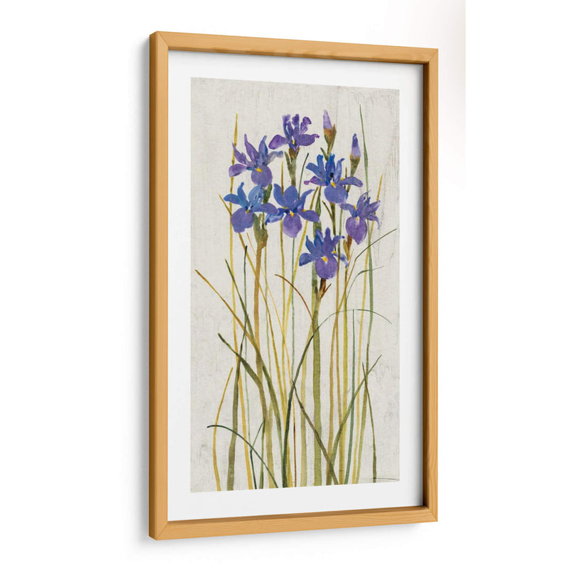 Iris Patch Ii - Tim OToole | Cuadro decorativo de Canvas Lab