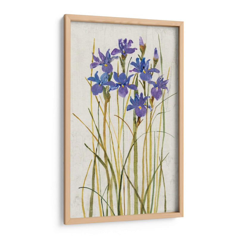 Iris Patch Ii - Tim OToole | Cuadro decorativo de Canvas Lab