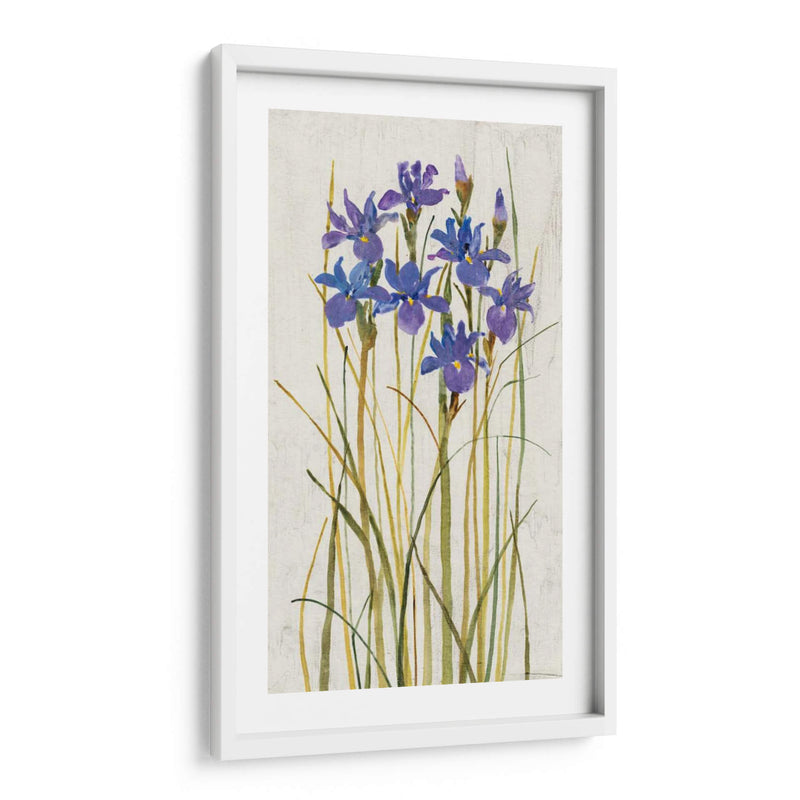 Iris Patch Ii - Tim OToole | Cuadro decorativo de Canvas Lab