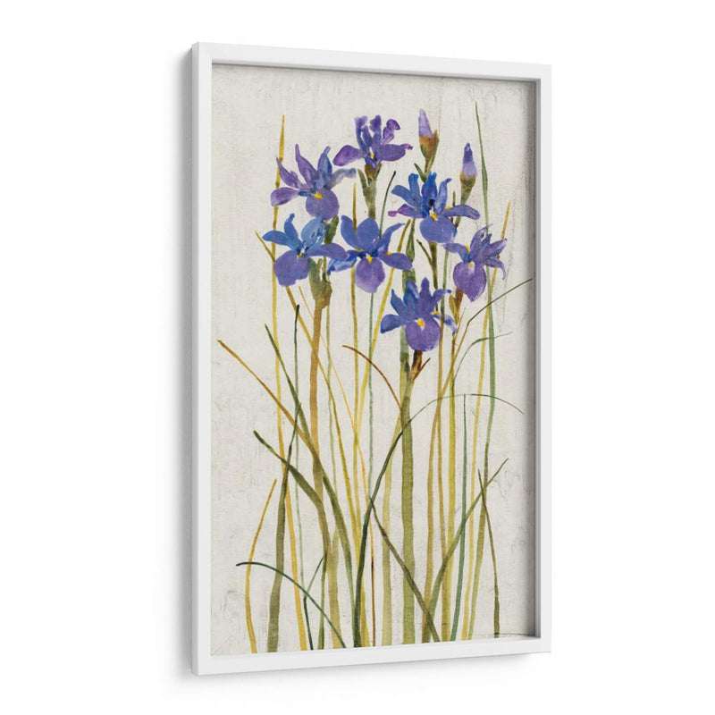 Iris Patch Ii - Tim OToole | Cuadro decorativo de Canvas Lab