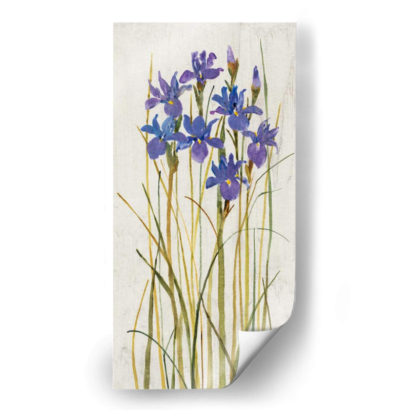 Iris Patch Ii - Tim OToole | Cuadro decorativo de Canvas Lab