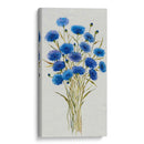 Parche De Aciano I - Tim OToole | Cuadro decorativo de Canvas Lab