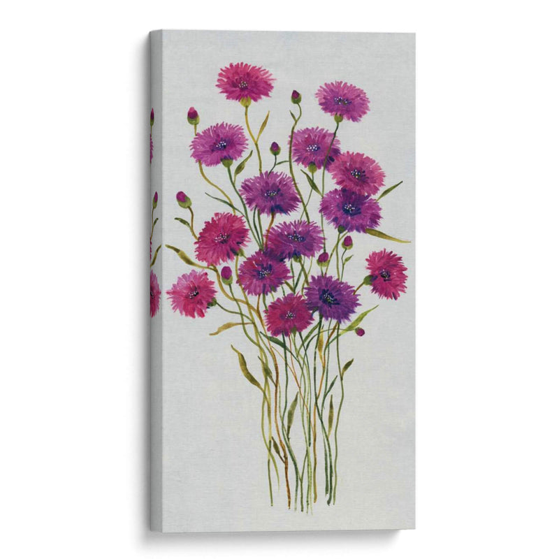 Cornflower Patch Ii - Tim OToole | Cuadro decorativo de Canvas Lab