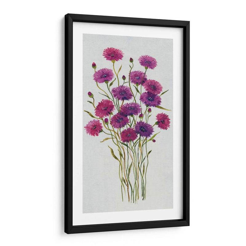 Cornflower Patch Ii - Tim OToole | Cuadro decorativo de Canvas Lab