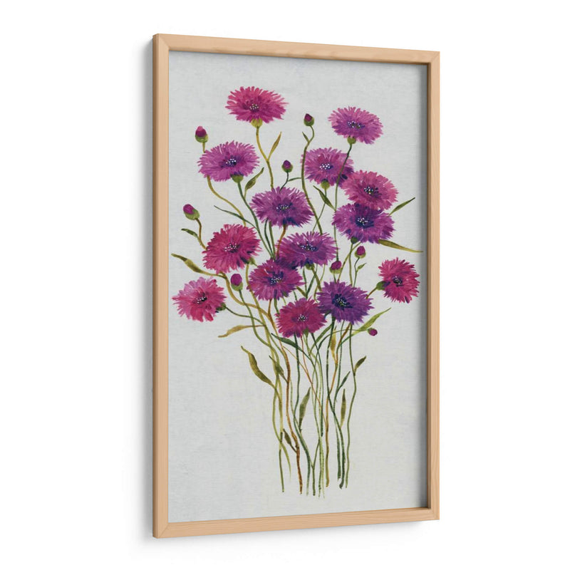 Cornflower Patch Ii - Tim OToole | Cuadro decorativo de Canvas Lab