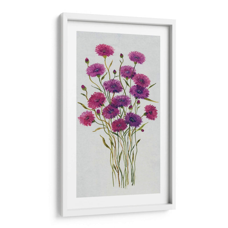 Cornflower Patch Ii - Tim OToole | Cuadro decorativo de Canvas Lab