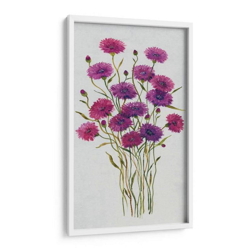 Cornflower Patch Ii - Tim OToole | Cuadro decorativo de Canvas Lab