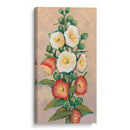 Hollyhocks Rojos I - Tim OToole | Cuadro decorativo de Canvas Lab