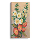 Hollyhocks Rojos Ii - Tim OToole | Cuadro decorativo de Canvas Lab