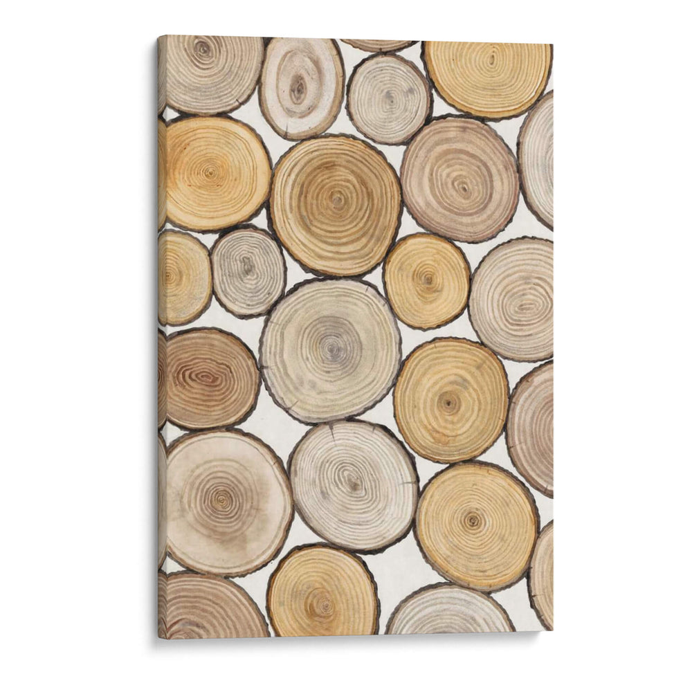 Estudio De Anillo De Árbol I - Tim OToole | Cuadro decorativo de Canvas Lab