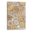 Estudio De Anillo De Árbol I - Tim OToole | Cuadro decorativo de Canvas Lab