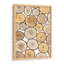 Estudio De Anillo De Árbol I - Tim OToole | Cuadro decorativo de Canvas Lab