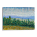 Tops De Pino I - Tim OToole | Cuadro decorativo de Canvas Lab